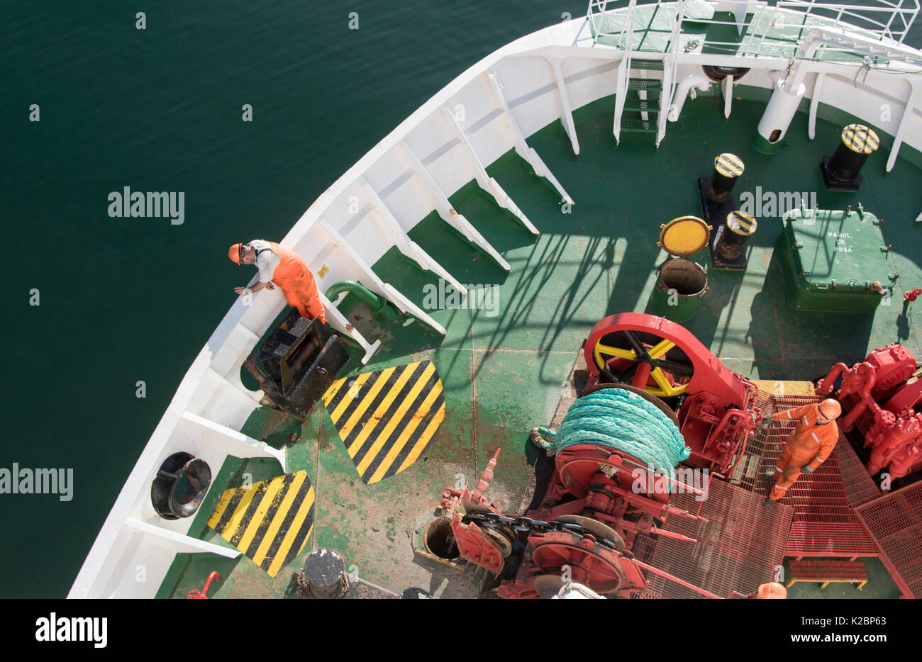 Evangelista Ferry nei fiordi del Cile, America del Sud. Gennaio. Foto Stock