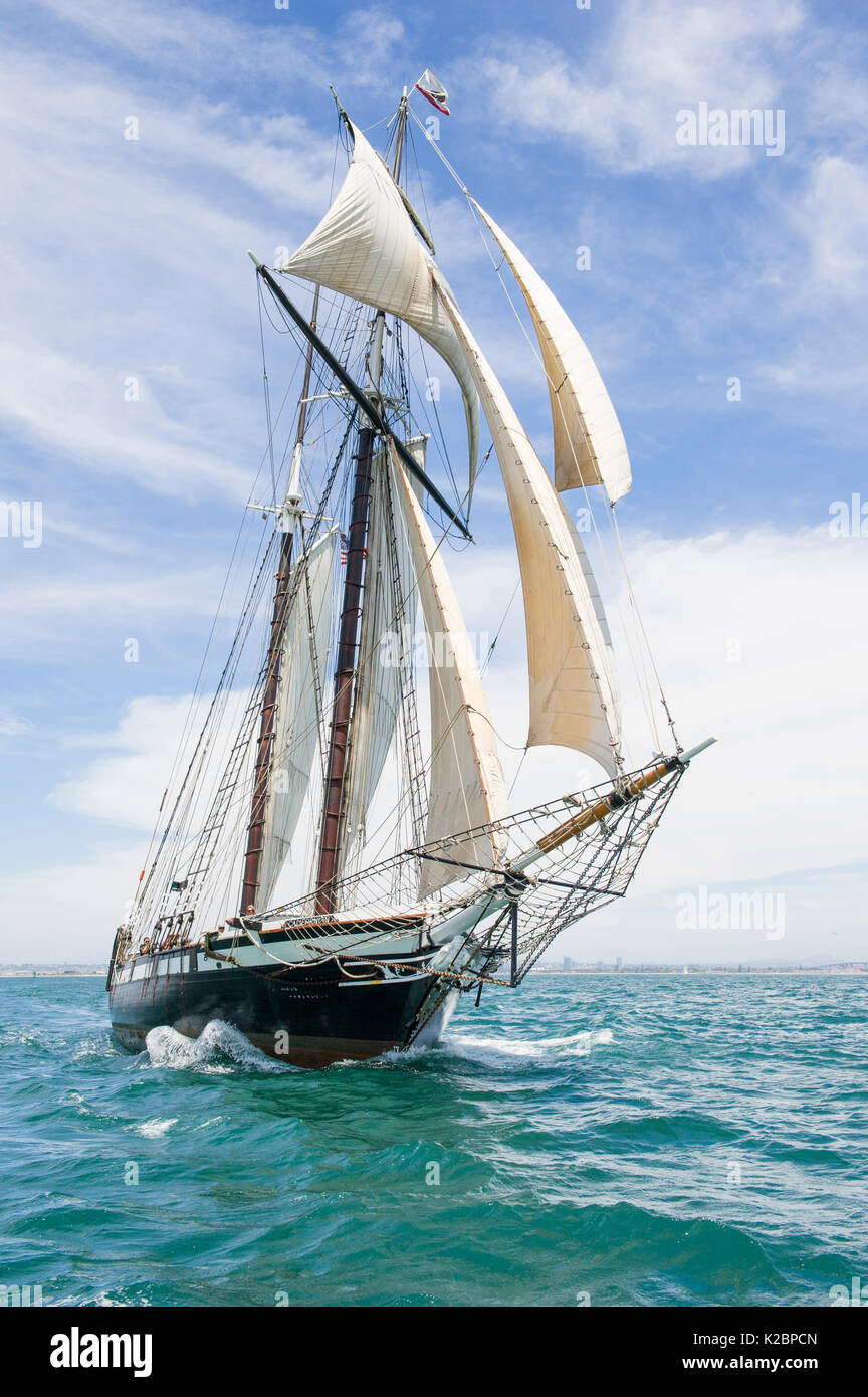 Californiano, una riproduzione di un 1851 entrate taglierina,San Diego Maritime Museum, STATI UNITI D'AMERICA Foto Stock