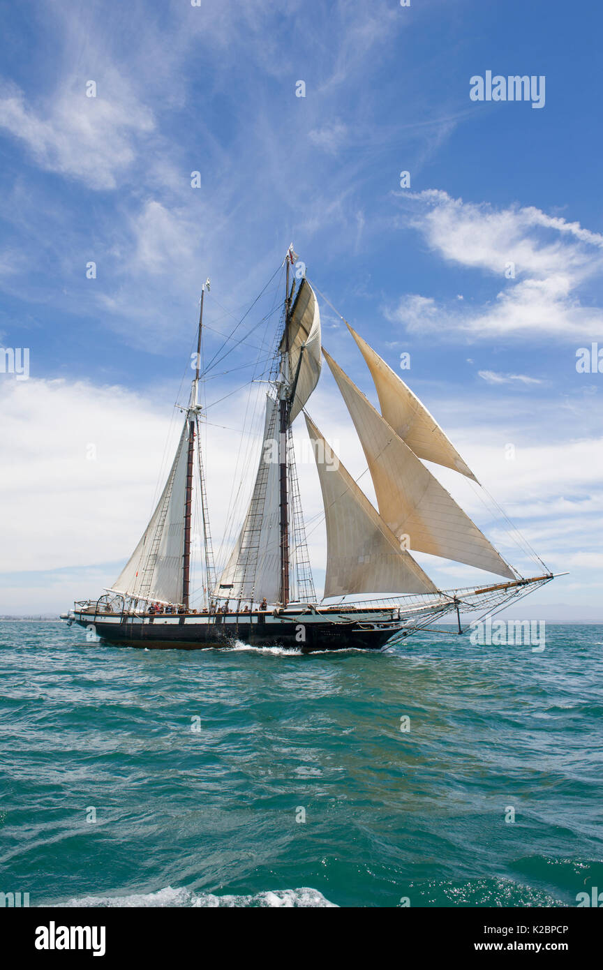 Californiano, una riproduzione di un 1851 entrate taglierina,San Diego Maritime Museum, STATI UNITI D'AMERICA Foto Stock