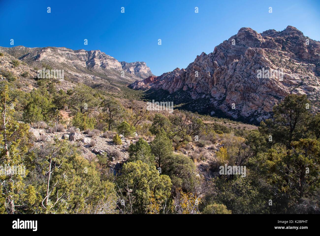 Red formazioni rocciose e pinyon pini al Red Rock Canyon National Conservation Area 27 Settembre 2016 vicino a Las Vegas, Nevada. Foto Stock