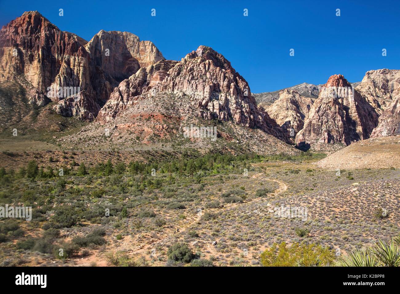 Red formazioni rocciose presso il Red Rock Canyon National Conservation Area 27 Settembre 2016 vicino a Las Vegas, Nevada. Foto Stock