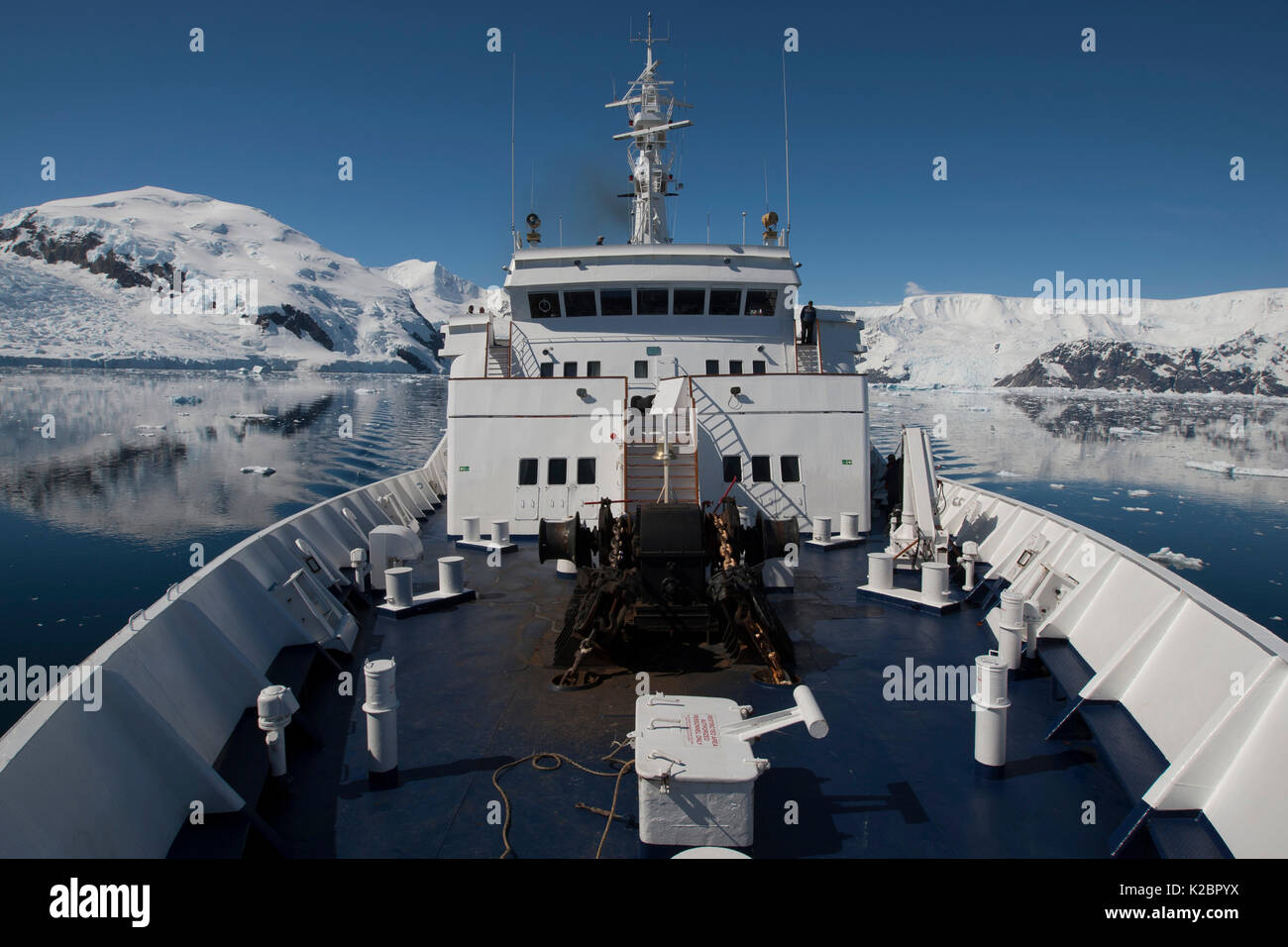 Vista dalla prua di 'Clipper Adventurer' in Neko Harbour, Andvord Bay, Penisola antartica. Gennaio 2012. Tutti i non-usi editoriali deve essere eliminato singolarmente. Foto Stock