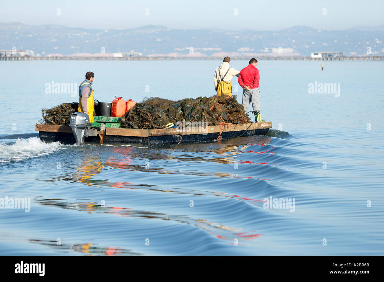 I pescatori di mitili portando in catture di sunrise, il delta del fiume Ebro, Tarragona. Tutti i non-usi editoriali deve essere eliminato singolarmente. Foto Stock