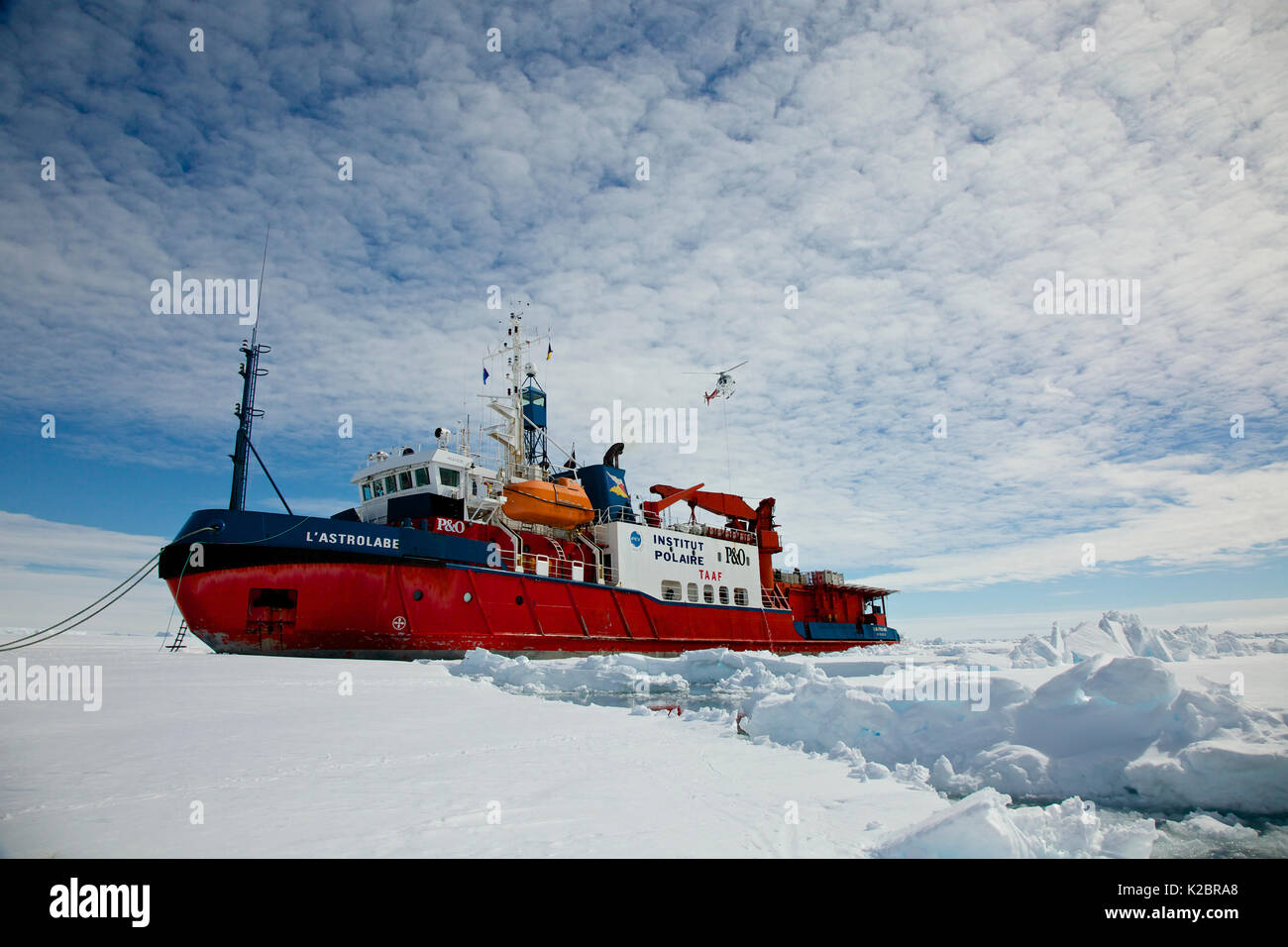 Icebreaker francese 'L'astrolabio' ormeggiato sul bordo del fast ice off Dumont D'Urville station, l'Antartide. Tutti i non-usi editoriali deve essere eliminato singolarmente. Foto Stock