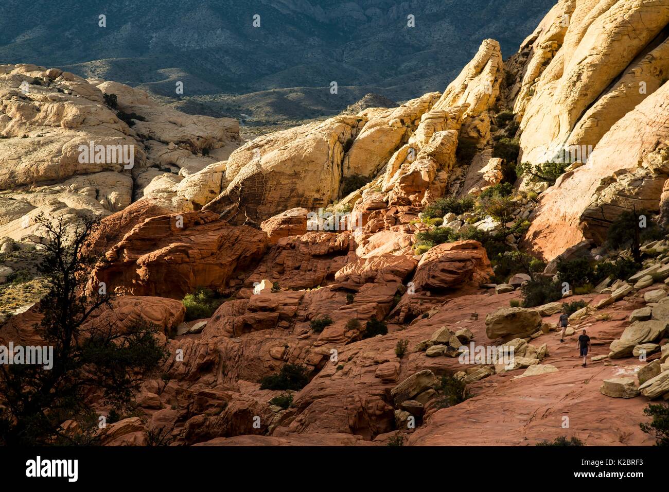 Red formazioni rocciose presso il Red Rock Canyon National Conservation Area 29 Settembre 2016 vicino a Las Vegas, Nevada. Foto Stock