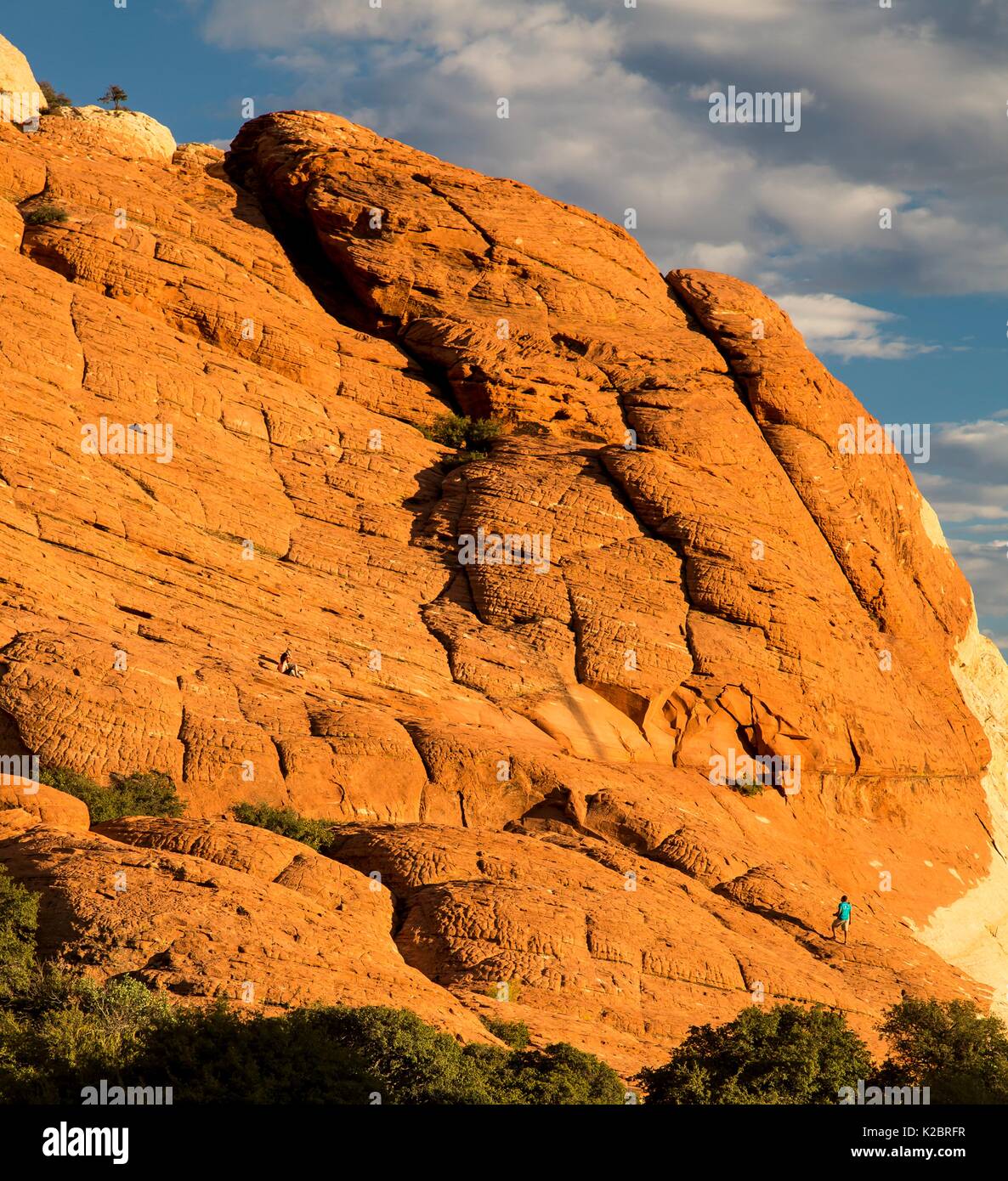 Red formazioni rocciose presso il Red Rock Canyon National Conservation Area 29 Settembre 2016 vicino a Las Vegas, Nevada. Foto Stock