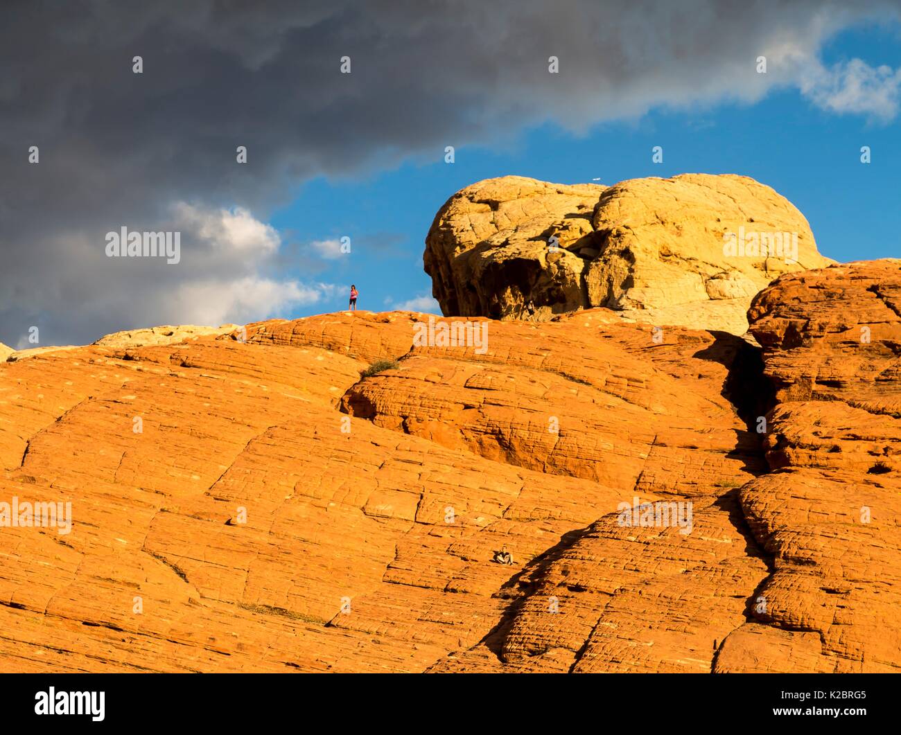 Red formazioni rocciose presso il Red Rock Canyon National Conservation Area 29 Settembre 2016 vicino a Las Vegas, Nevada. Foto Stock