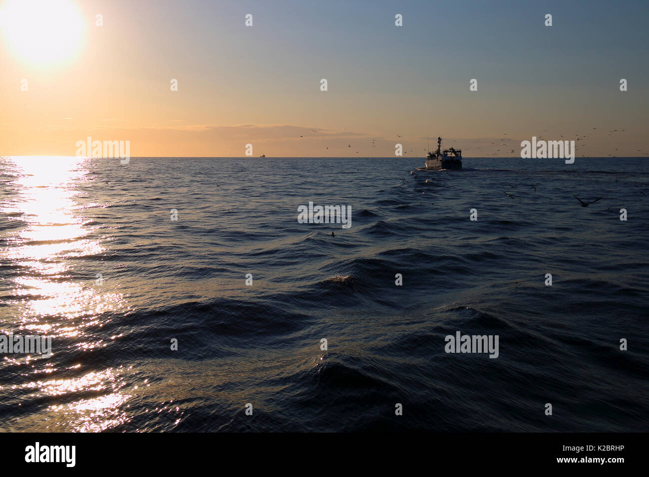 Peschereccio "Ocean Harvest" voce per la casa come il sole tramonta oltre il mare del Nord, Regno Unito, Agosto 2014. Proprietà rilasciato. Tutti i non-usi editoriali deve essere eliminato singolarmente. Foto Stock