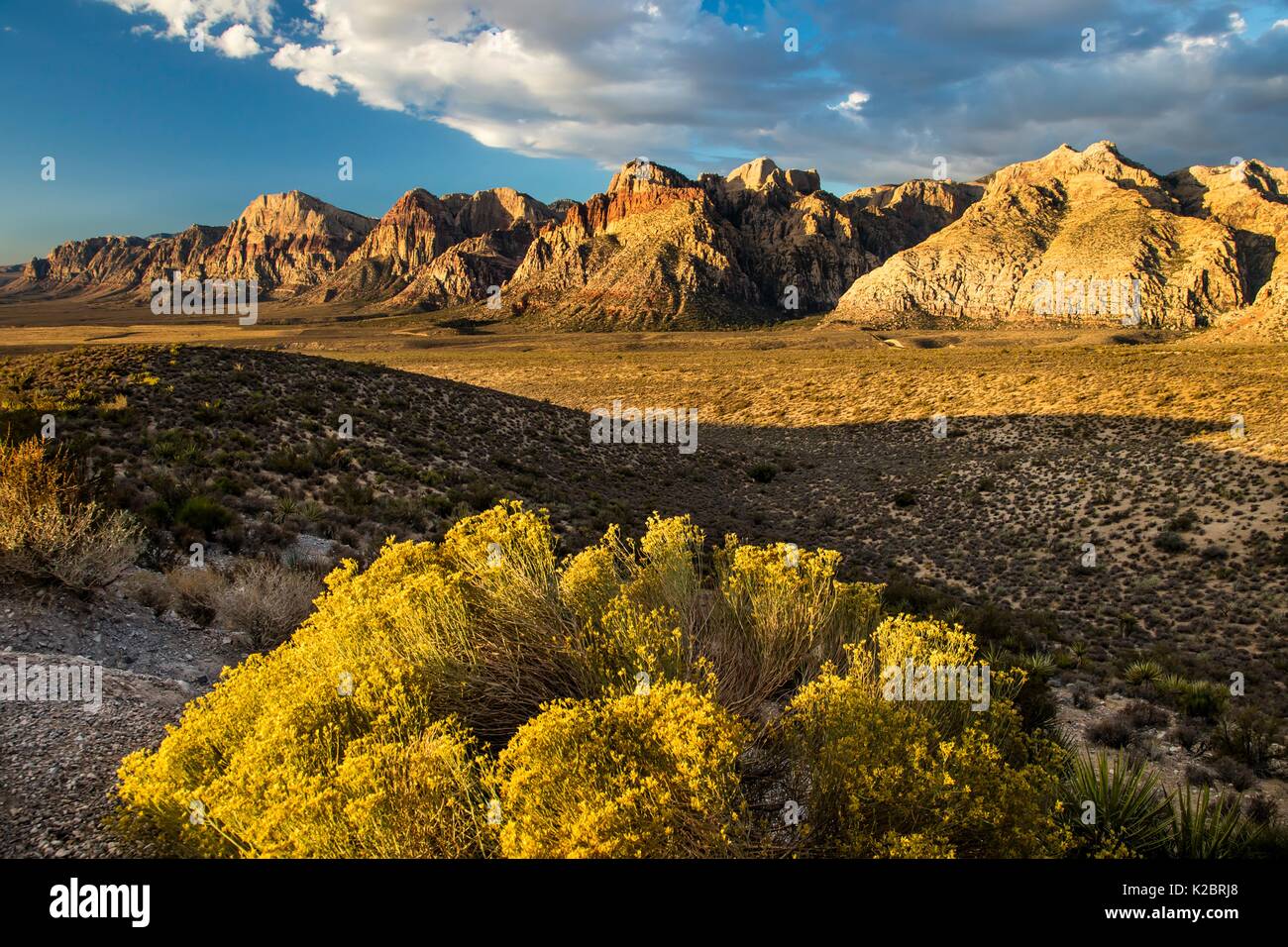 Red formazioni rocciose presso il Red Rock Canyon National Conservation Area 29 Settembre 2016 vicino a Las Vegas, Nevada. Foto Stock