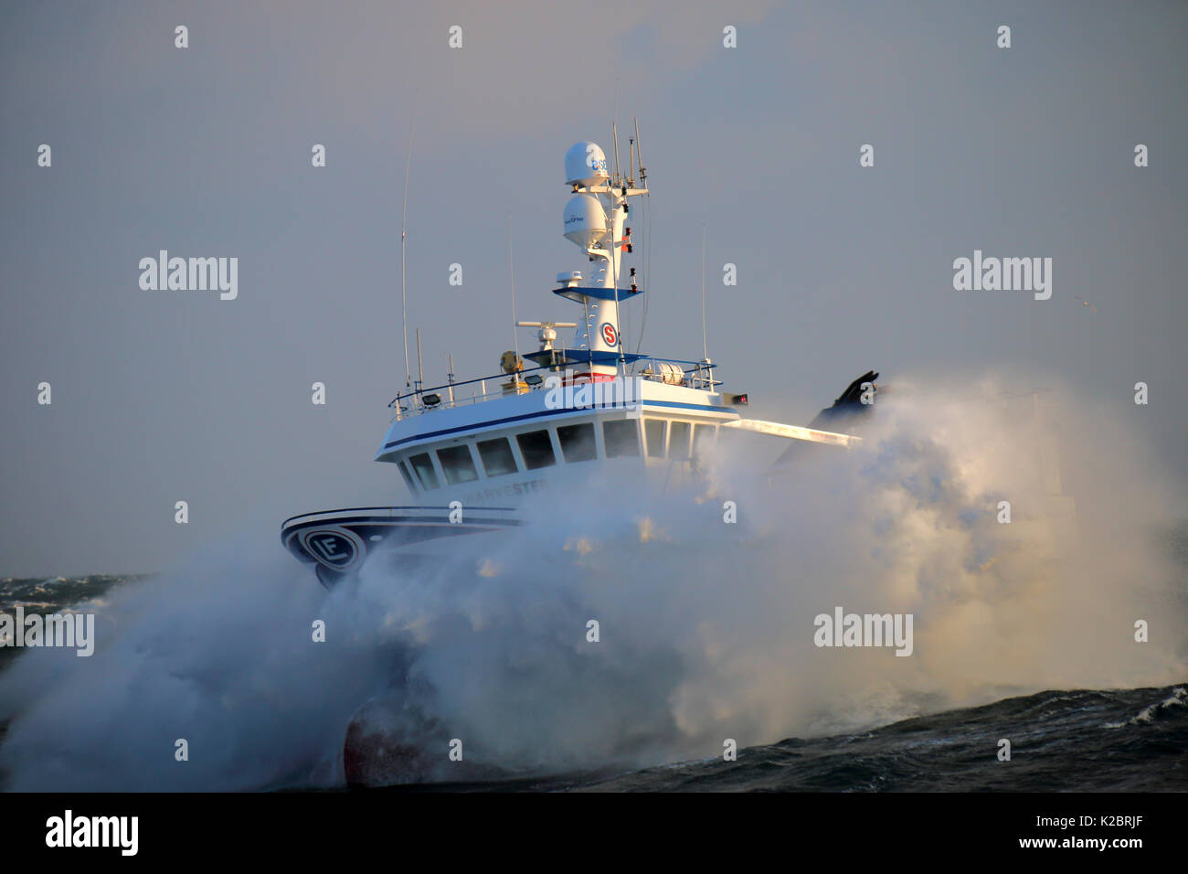 Peschereccio 'Harvester' punzonatura attraverso Heavy Weather e grandi onde del mare del Nord, dicembre 2014. Proprietà rilasciato. Tutti i non-usi editoriali deve essere eliminato singolarmente. Foto Stock