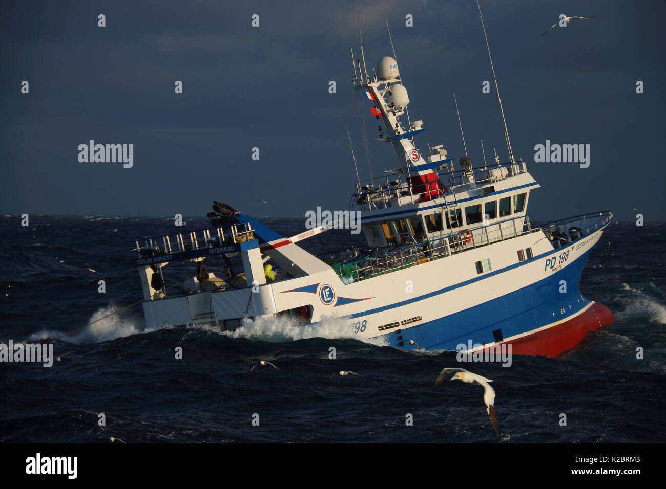 Peschereccio "Ocean Harvest' contro un cielo tempestoso, Mare del Nord, ottobre 2014. Tutti i non-usi editoriali deve essere eliminato singolarmente. Foto Stock