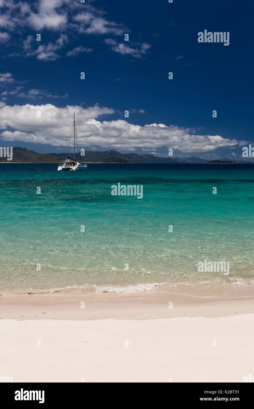 Catamarano al largo della costa della isola di Hamilton, Isole Whitsunday, Queensland, Australia, novembre 2012. Foto Stock