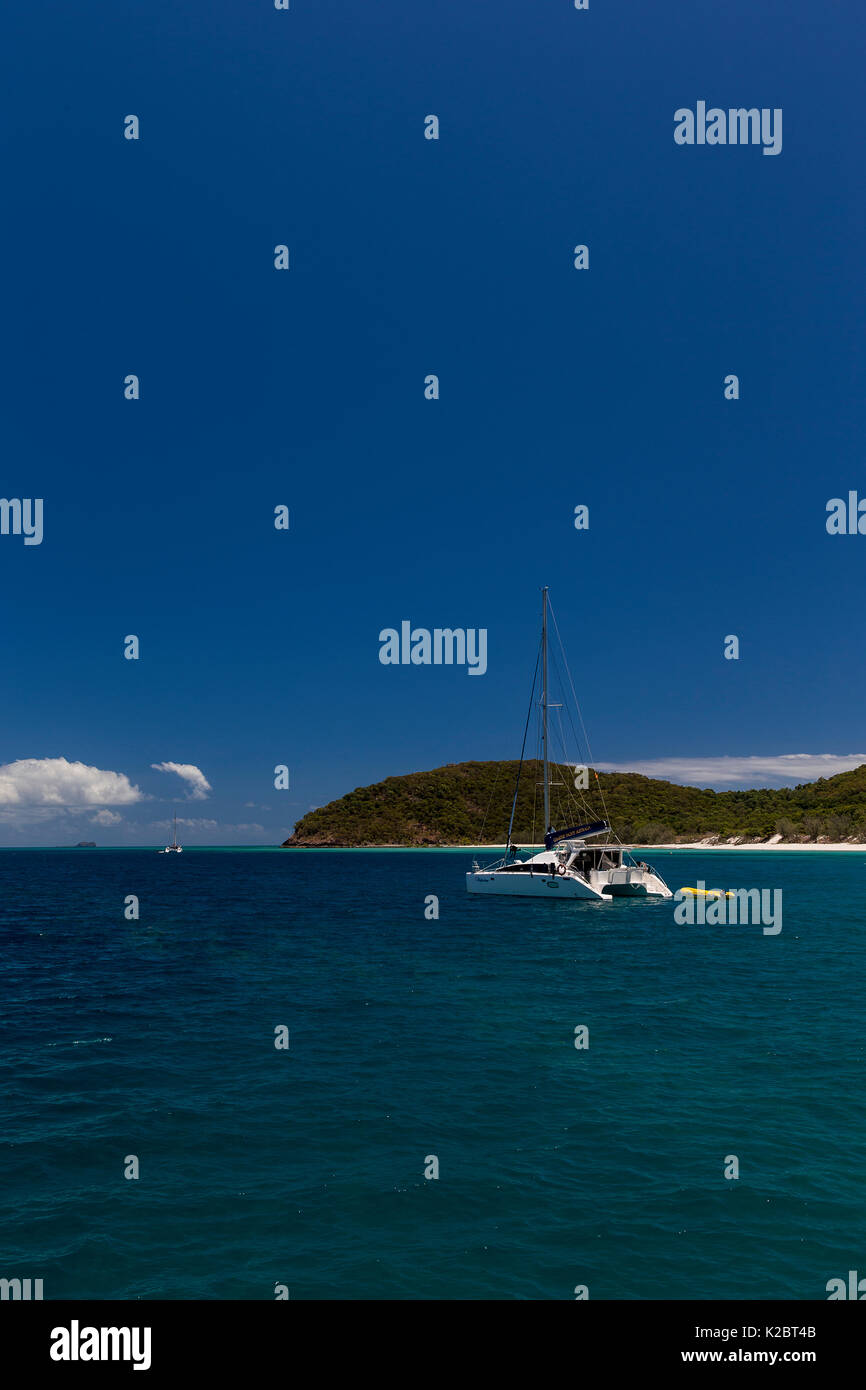 Catamarano sulla costa dell'Isola di Hamilton, Isole Whitsunday, Queensland, Australia, novembre 2012. Foto Stock