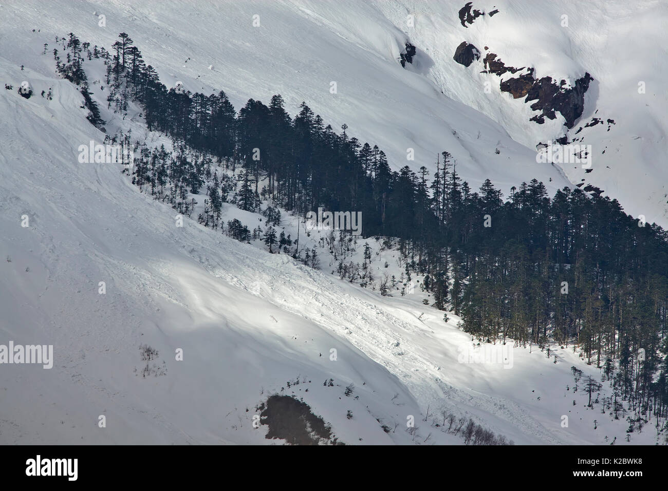 Paesaggio di montagna Kawakarpo, ricoperta di neve con ciuffo di alberi di conifere, meri Snow Mountain National Park, nella provincia dello Yunnan in Cina. Maggio 2010. Foto Stock