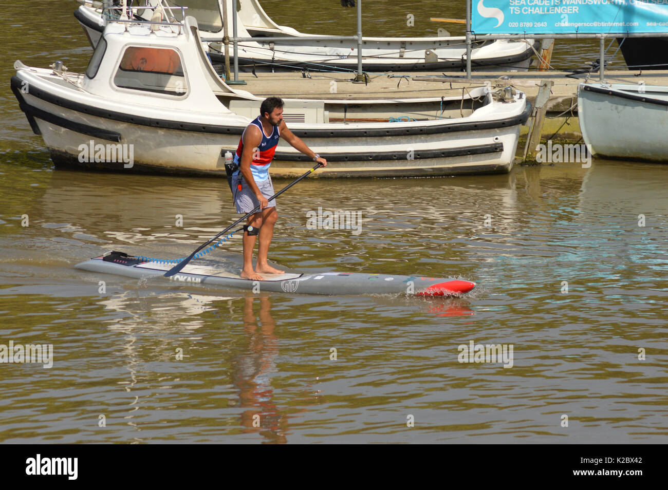 L'uomo paddle imbarco sul Fiume Tamigi, Putney, Londra Foto Stock