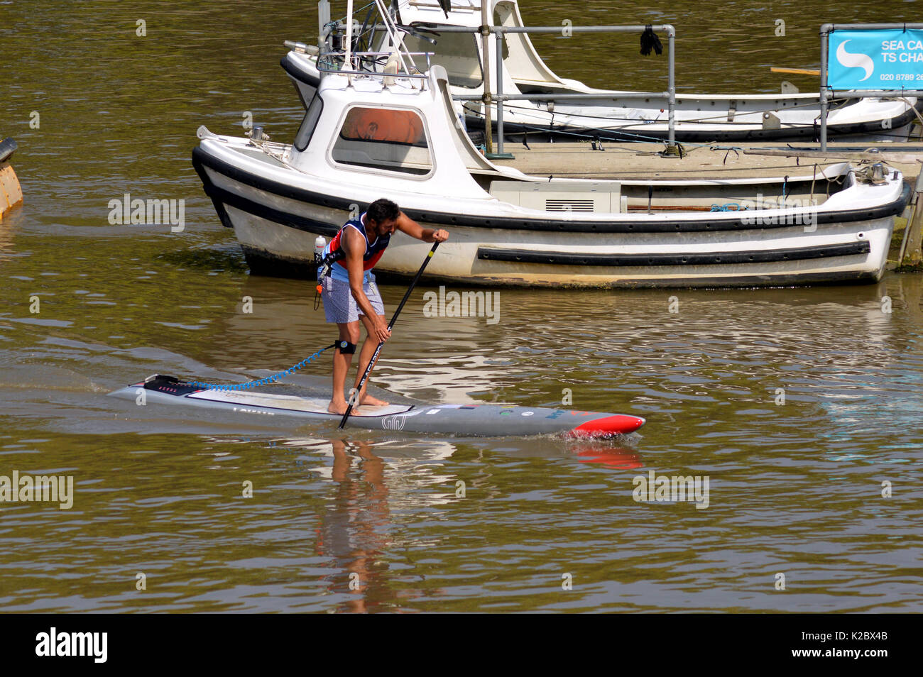 L'uomo paddle imbarco sul Fiume Tamigi, Putney, Londra Foto Stock