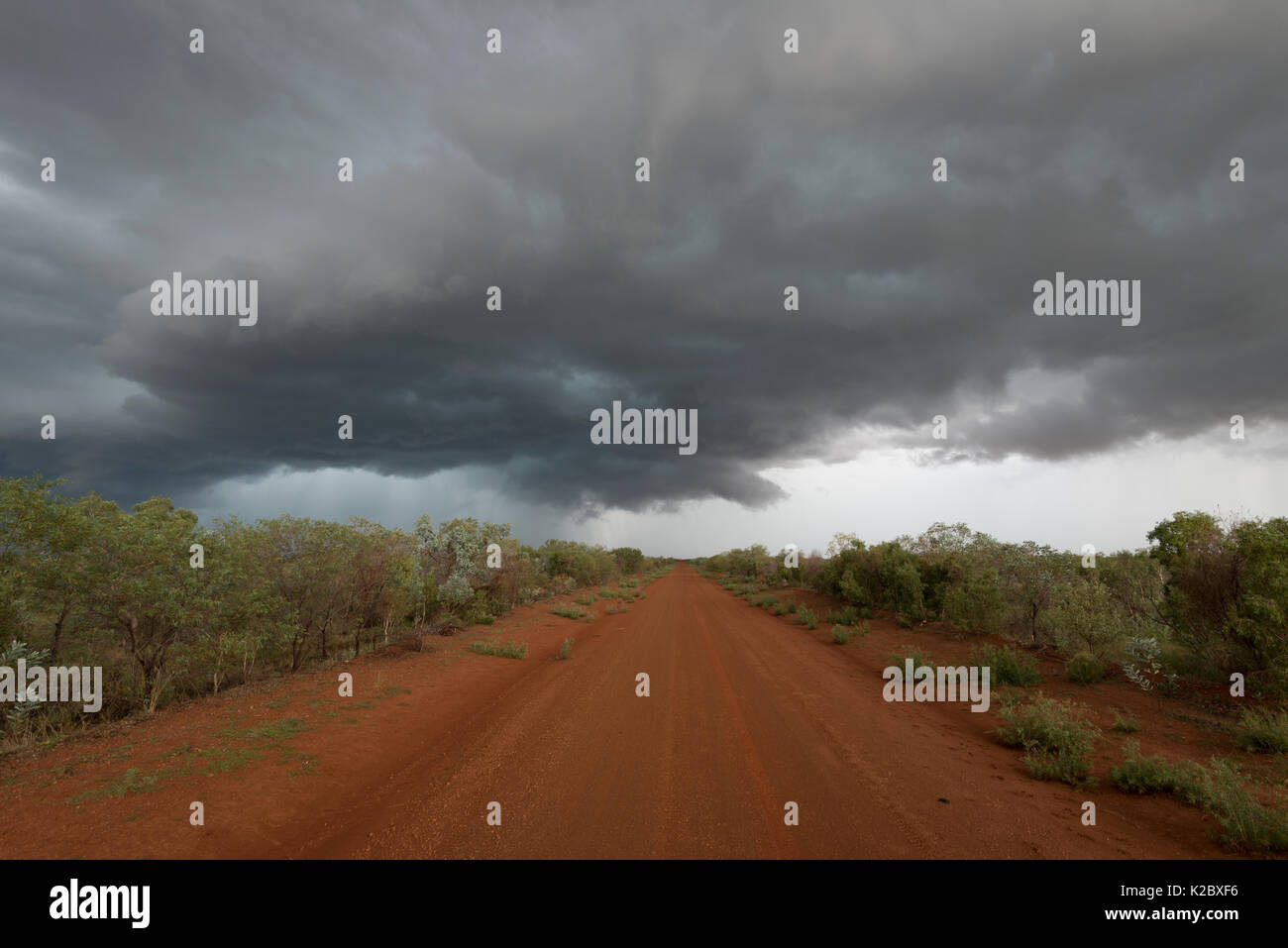Alpeggi autostrada nell'outback, Territorio del Nord, l'Australia. Gennaio 2013 Foto Stock