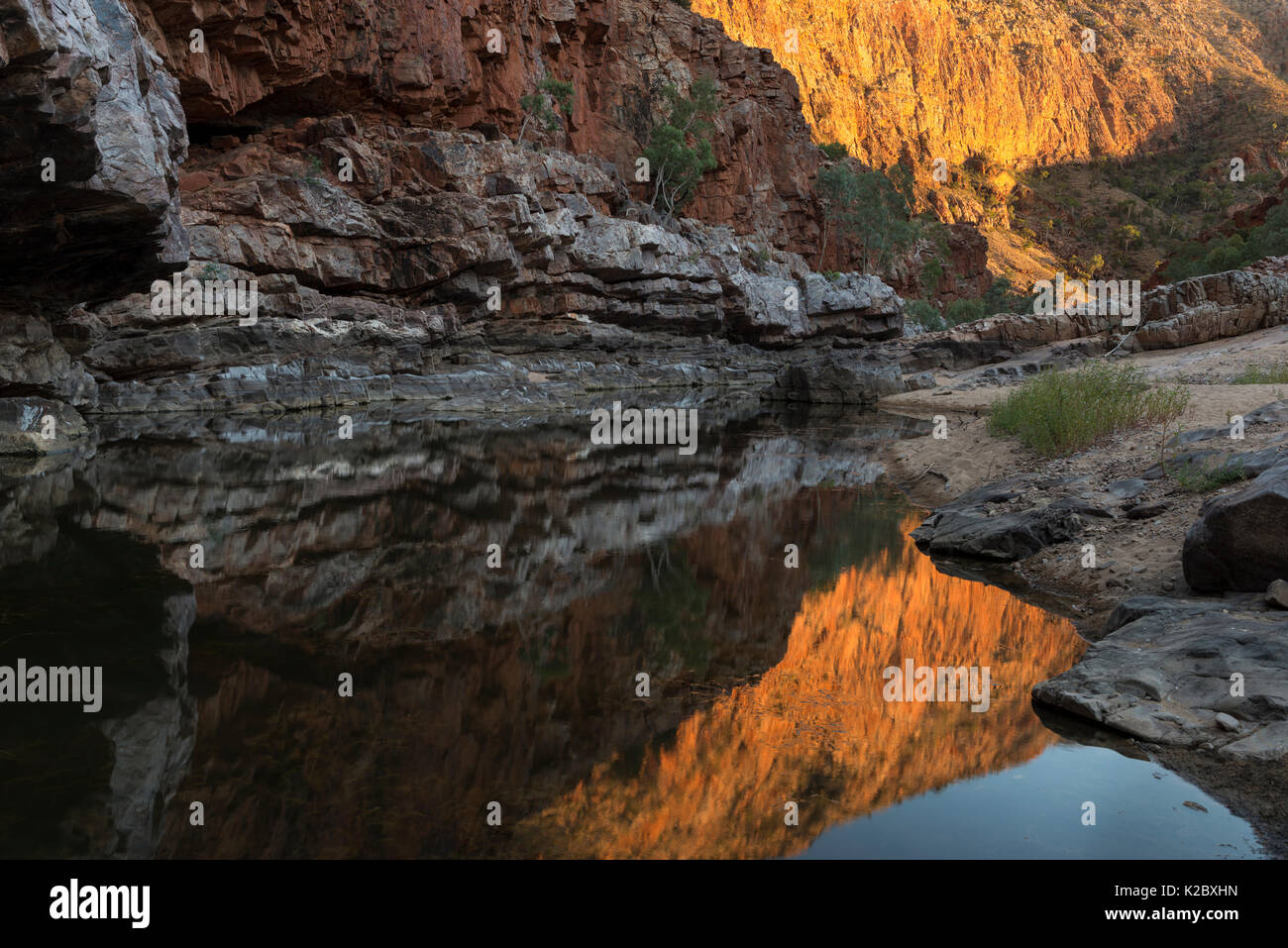 Riflessioni in waterhole, Ormiston Gorge, West MacDonnell Ranges Alice Springs, Territorio del Nord, l'Australia. Foto Stock