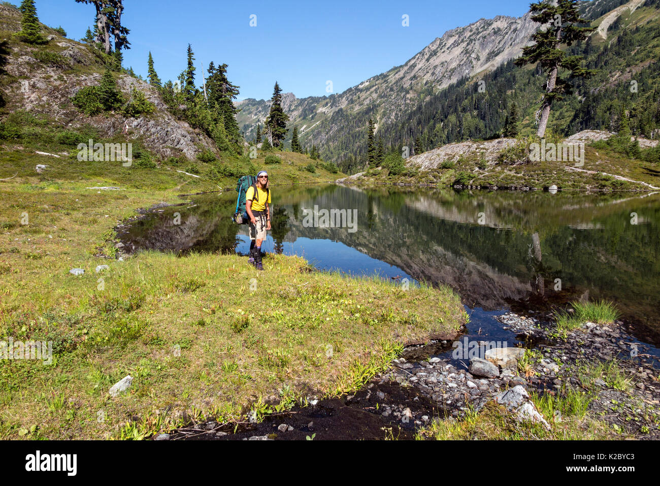 Escursionista passando dal laghetto, Bacino di traghetto, Bailey gamma traversa, il Parco Nazionale di Olympic, Washington, USA, Agosto 2014. Foto Stock