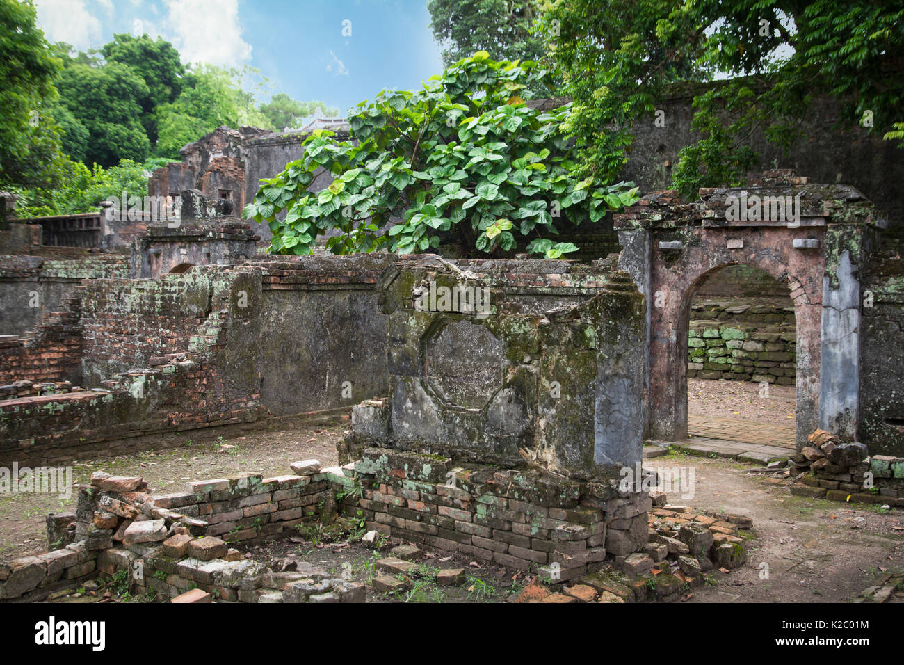 Antiche rovine nella giungla Foto Stock
