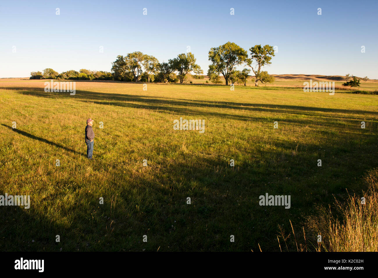 Lynn Ballagh guardando fuori oltre la sua proprietà, dove la proposta di NPPD linea di trasmissione di potenza potrebbe inquinare il paesaggio. Ballagh ranch di bestiame in Sandhills del Nebraska, Garfield County, Nebraska, Stati Uniti d'America. Foto Stock