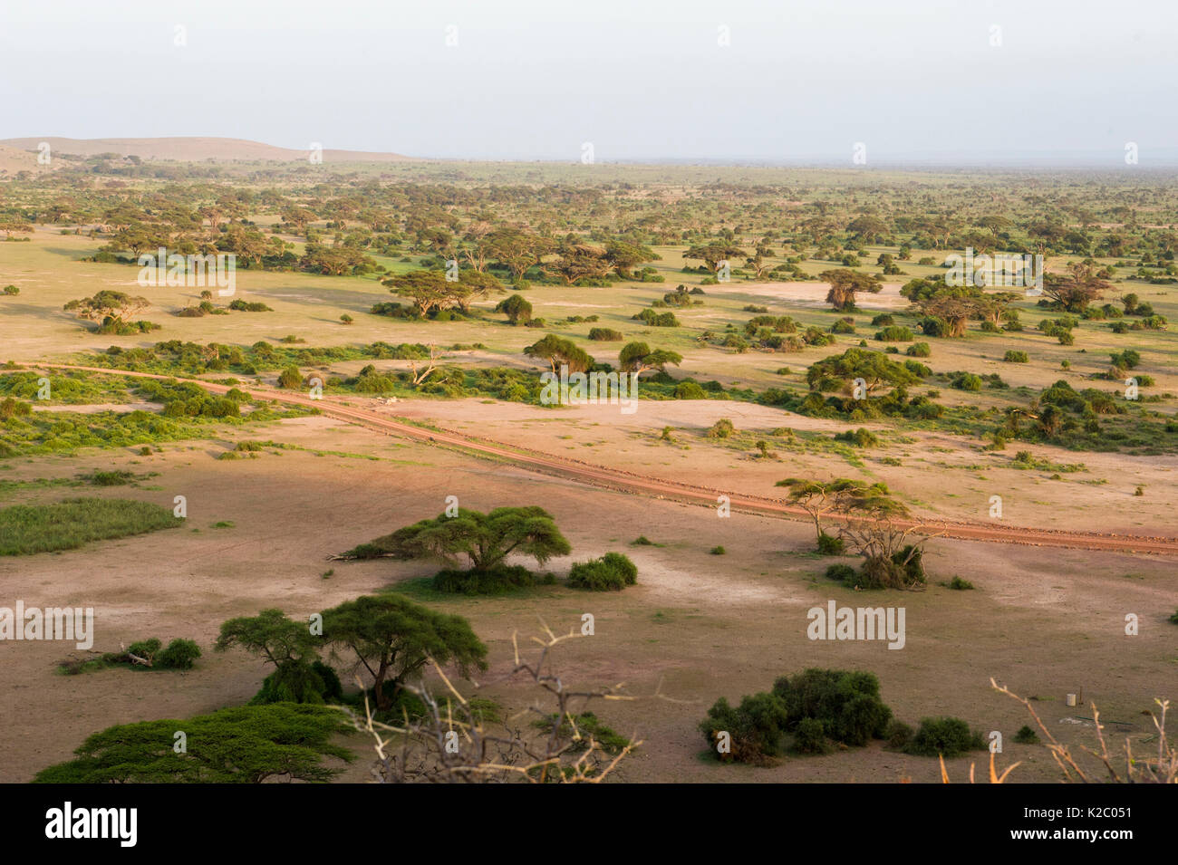 Antenna di paesaggio del Parco Nazionale Amboseli, Kenya, Gennaio 2015. Foto Stock