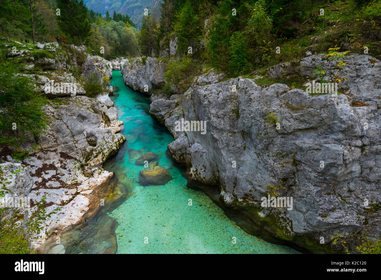 Soca fiume che scorre attraverso il Grande Soca Gorge, Lepena Valley, sulle Alpi Giulie, Bovec, Slovenia, ottobre 2014. Foto Stock