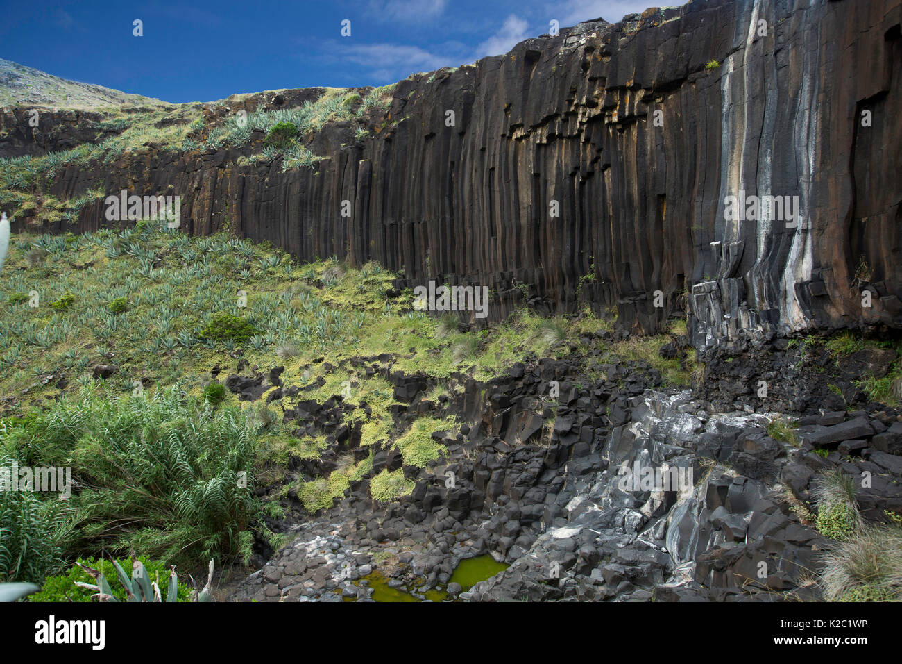 Cascata di oltre basalto colonnare rock, Calcada do Gigante, Santa Maria Island, Azzorre, Portogallo, Oceano Atlantico. Foto Stock