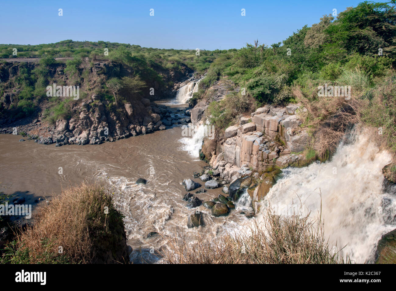 Gioisca la cascata del fiume, inondato National Park, inondato National Park, regione di Afar, Great Rift Valley, Etiopia, in Africa, in marzo. Foto Stock