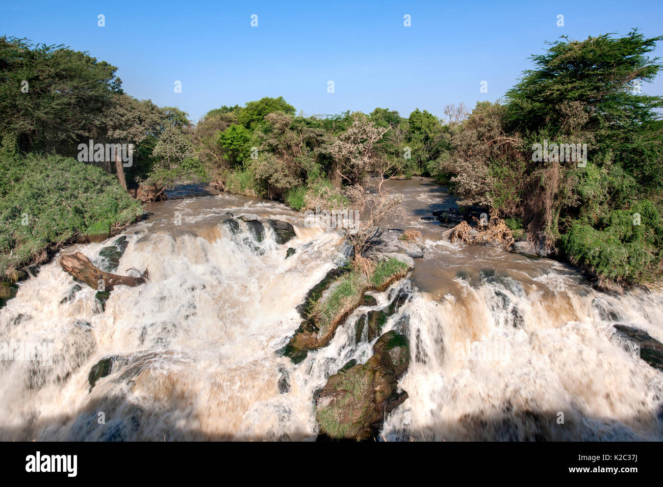 Gioisca la cascata del fiume, inondato Parco Nazionale. Regione di Afar, Great Rift Valley, Etiopia, Africa, marzo 2009. Foto Stock