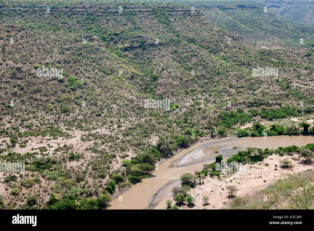 A fior d'acqua del fiume e gorge, inondato National Park, regione di Afar, Great Rift Valley, Etiopia, Africa, marzo 2009. Foto Stock