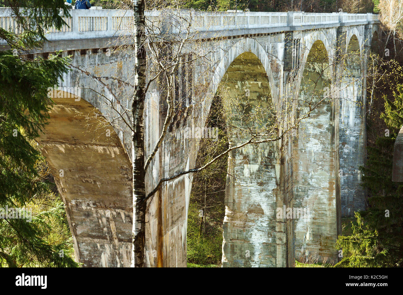 Il viadotto di cemento nei boschi di battuta il ponte ferrovia Foto Stock