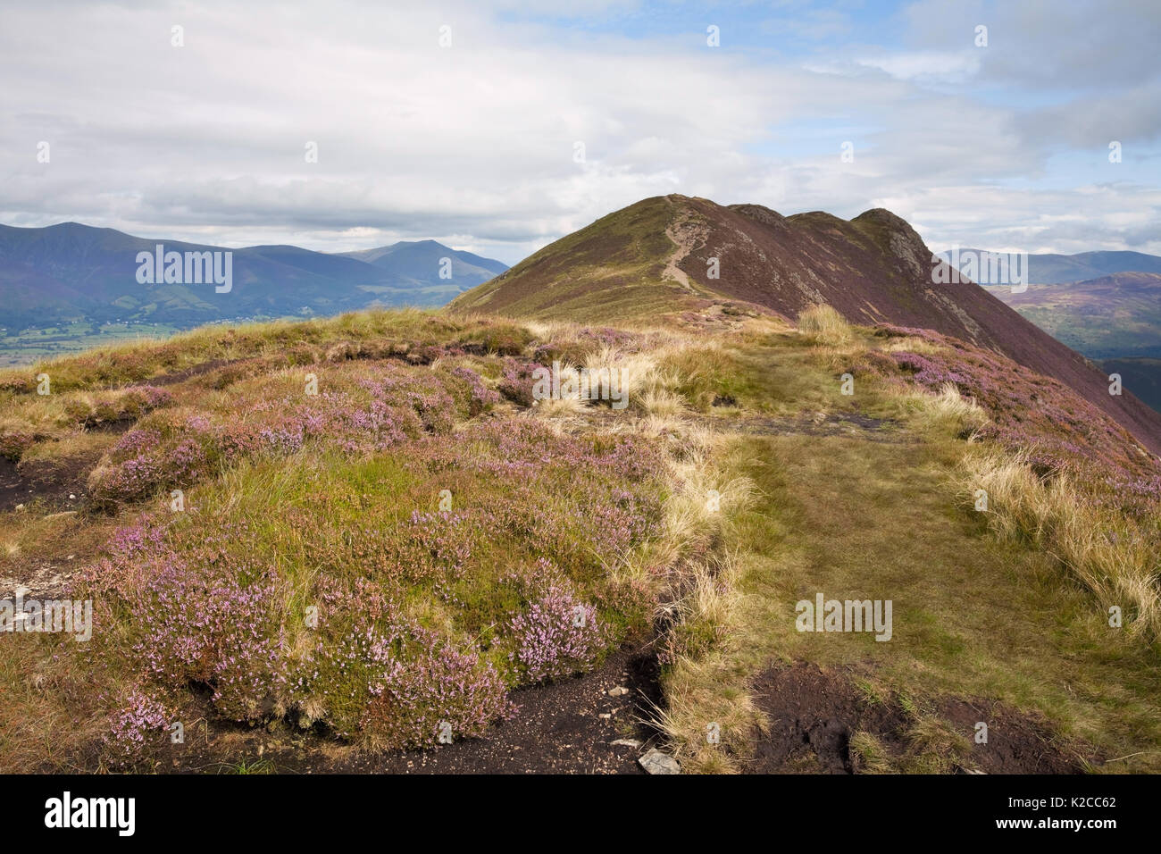 Il vertice di Causey Pike nel distretto del Lago Foto Stock