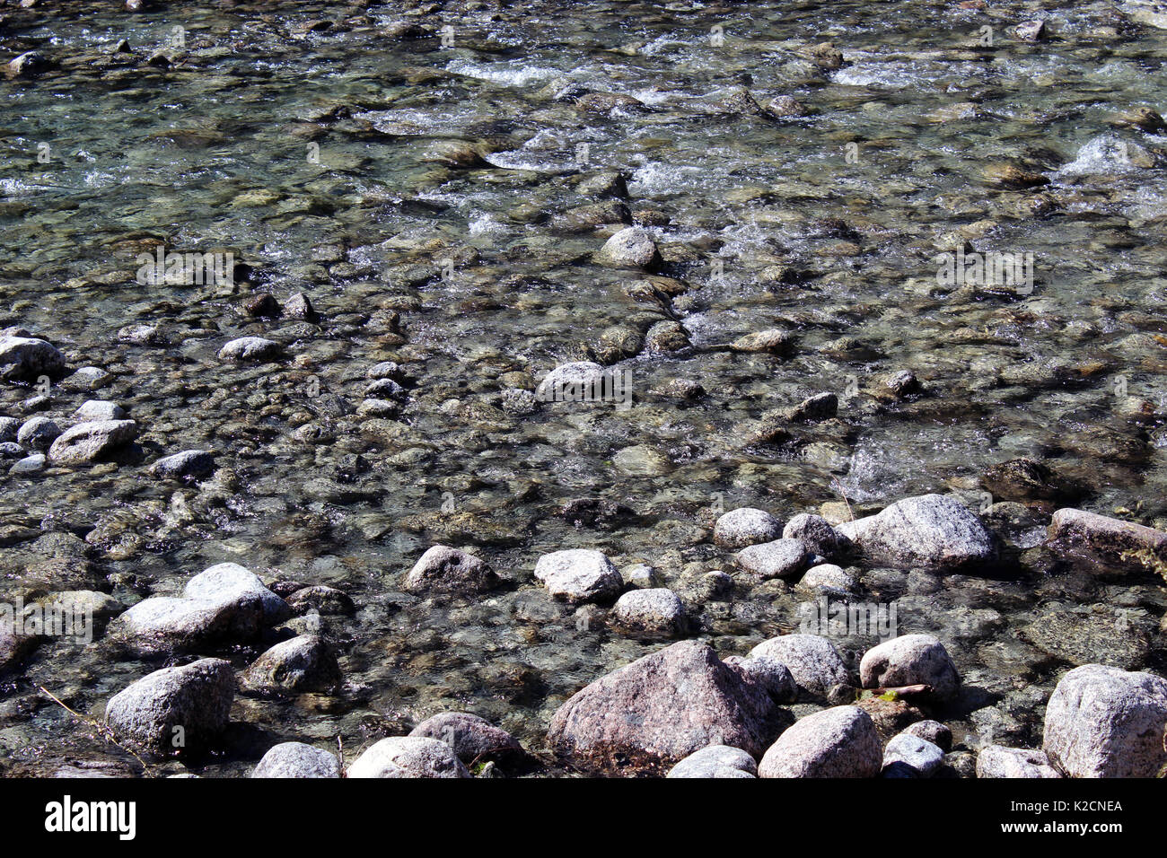Ciottoli di granito in un fondale basso mountain creek Foto Stock