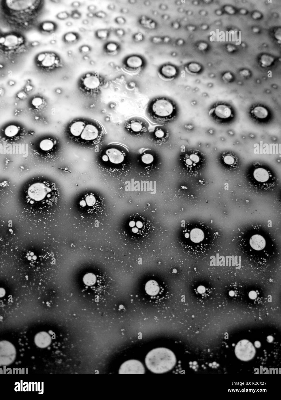 Liquido gocce di acqua e olio Foto Stock