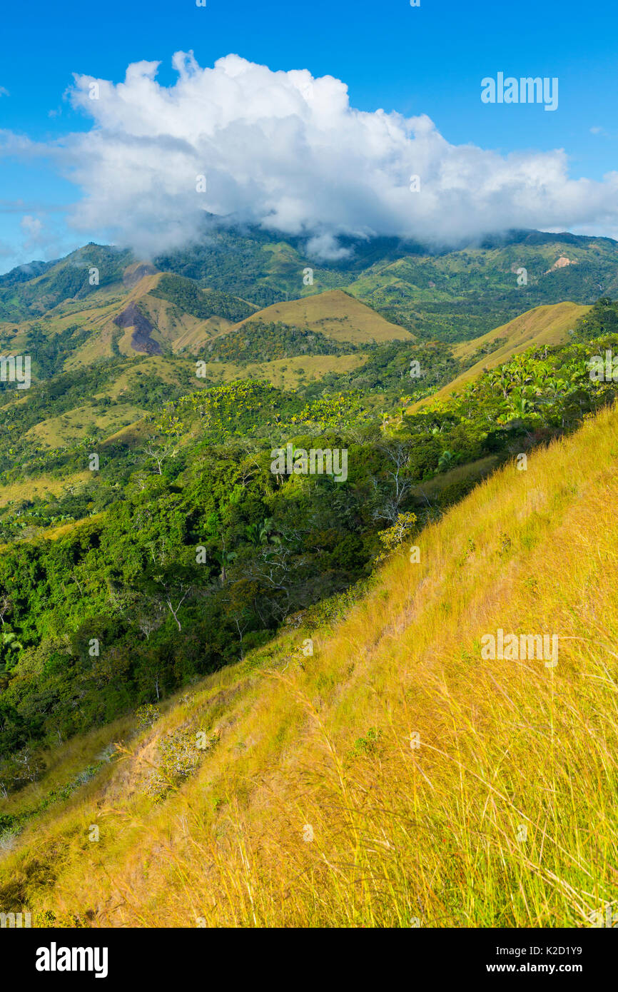Paesaggio di montagna nella penisola Oso, Costa Rica, dicembre 2015. Foto Stock