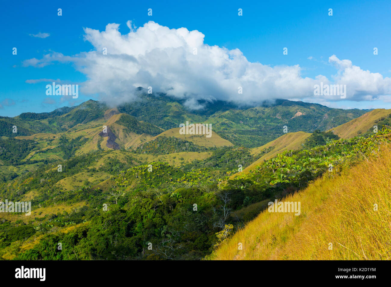 Paesaggio di montagna nella penisola Oso, Costa Rica, dicembre 2015. Foto Stock