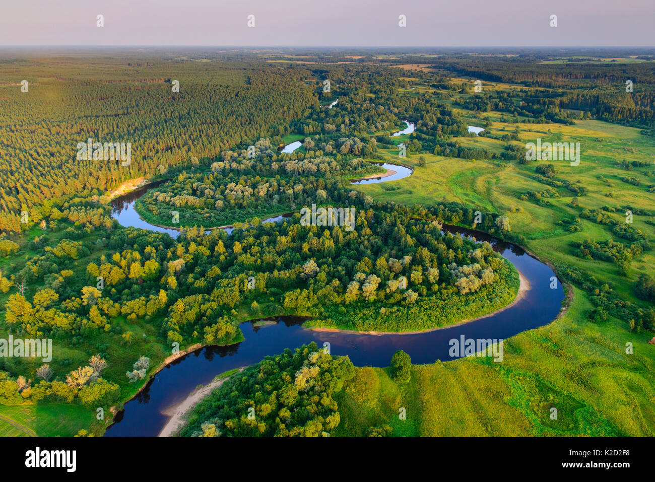 Vista aerea di Rver Koiva, e il confine tra Estonia e Lettonia nel sud dell'Estonia, Valgamaa, Estonia. Agosto 2014. L'Estonia è sul lato sinistro del fiume e la Lettonia sulla riva destra. Foto Stock