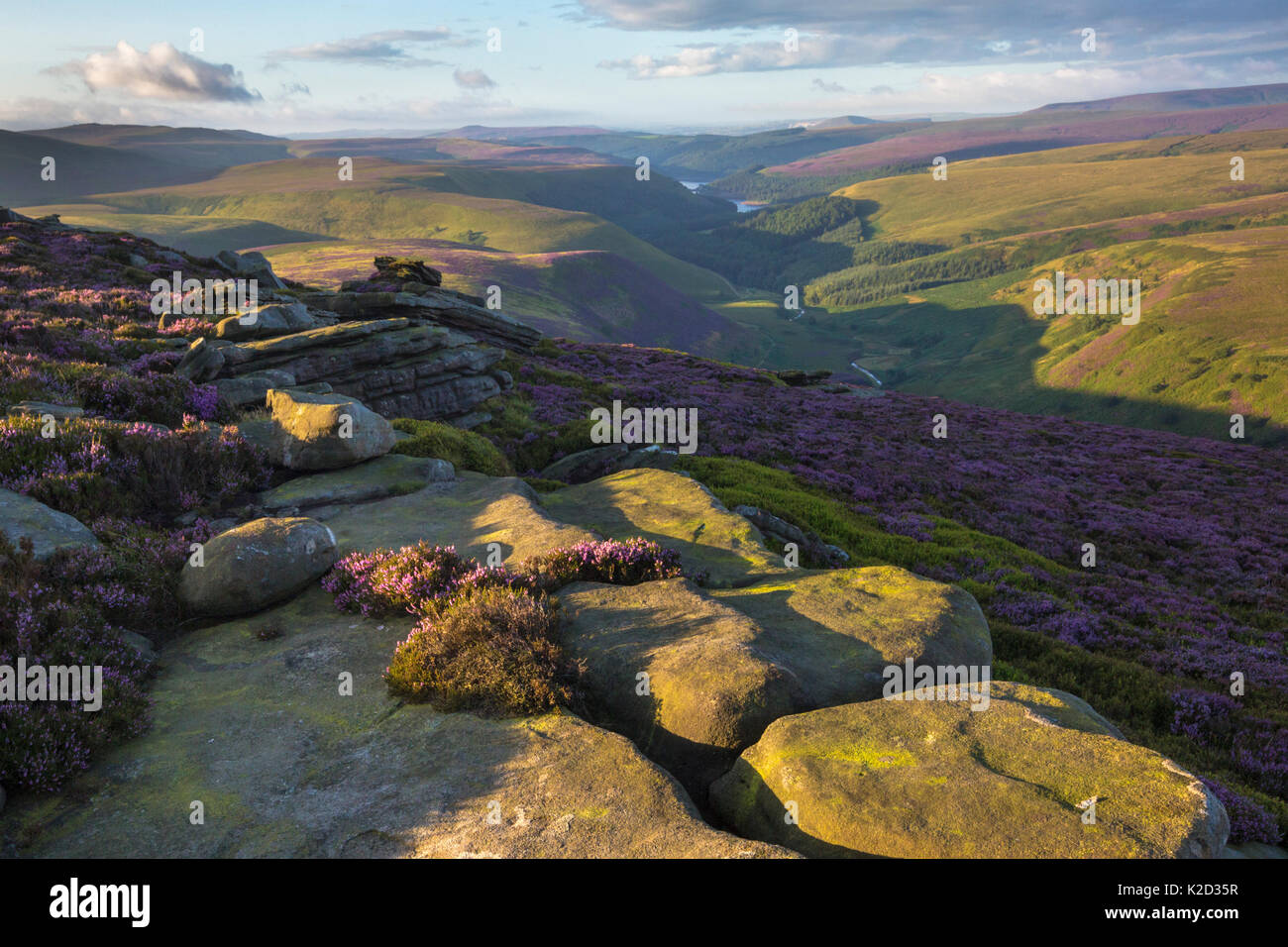 Crow pietre cercando di bordo verso Howden e Derwent serbatoi. Parco Nazionale di Peak District, Derbyshire, Regno Unito. Agosto 2015. Foto Stock