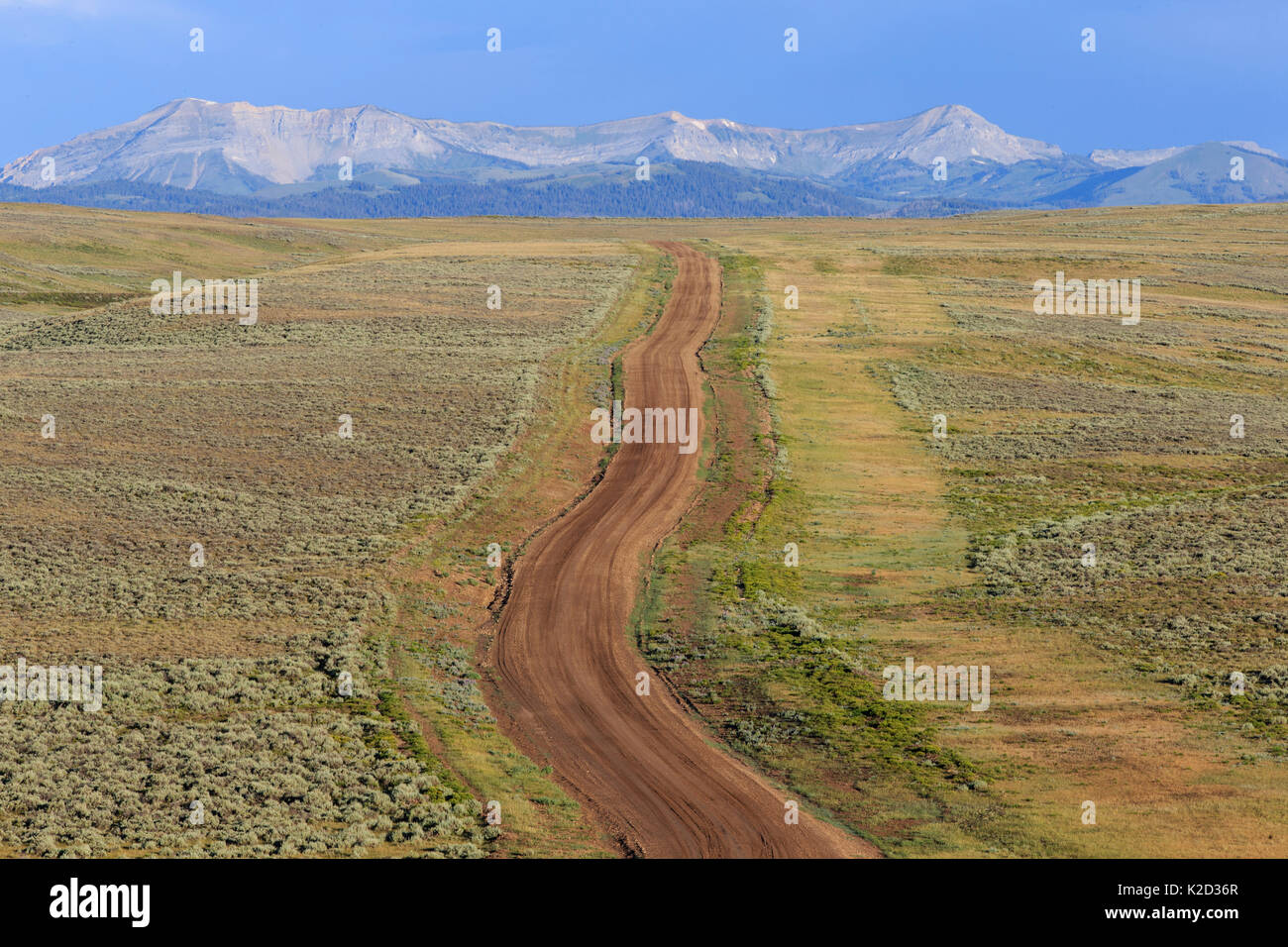 Strada che corre attraverso il sagebush steppa nel loglio il BLM (Bureau of Land Management) area verso il Wyoming Mountain Range. La Contea di Sublette, Wyoming negli Stati Uniti. Luglio. Foto Stock