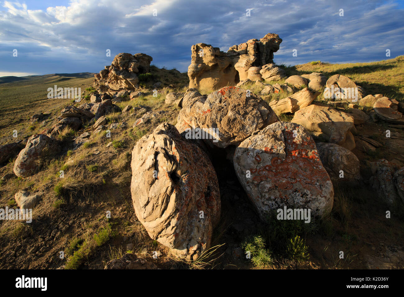 Formazioni di arenaria in un paesaggio di salvia. La Contea di Sublette, Wyoming. Luglio. Foto Stock