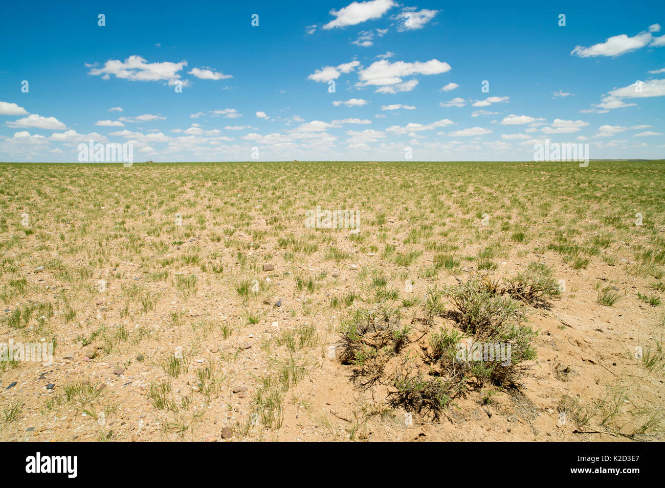 Deserto dei Gobi paesaggio, Sud Mongolia. Giugno 2015. Foto Stock