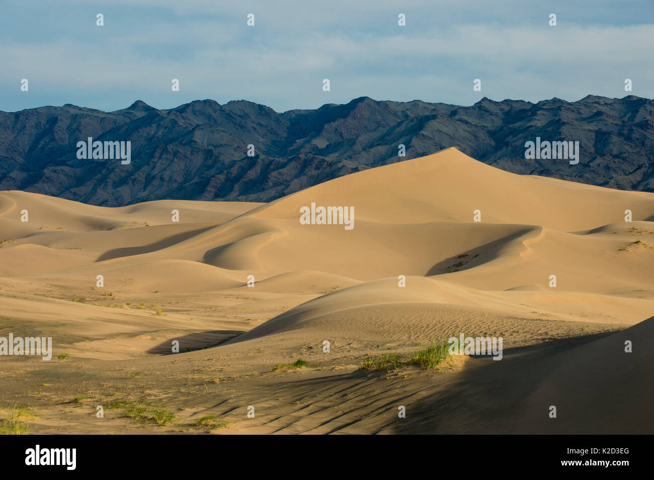 Khongor dune di sabbia, Govi Gurvan Saikhan National Park, deserto dei Gobi, Sud Mongolia. Giugno 2015. Foto Stock