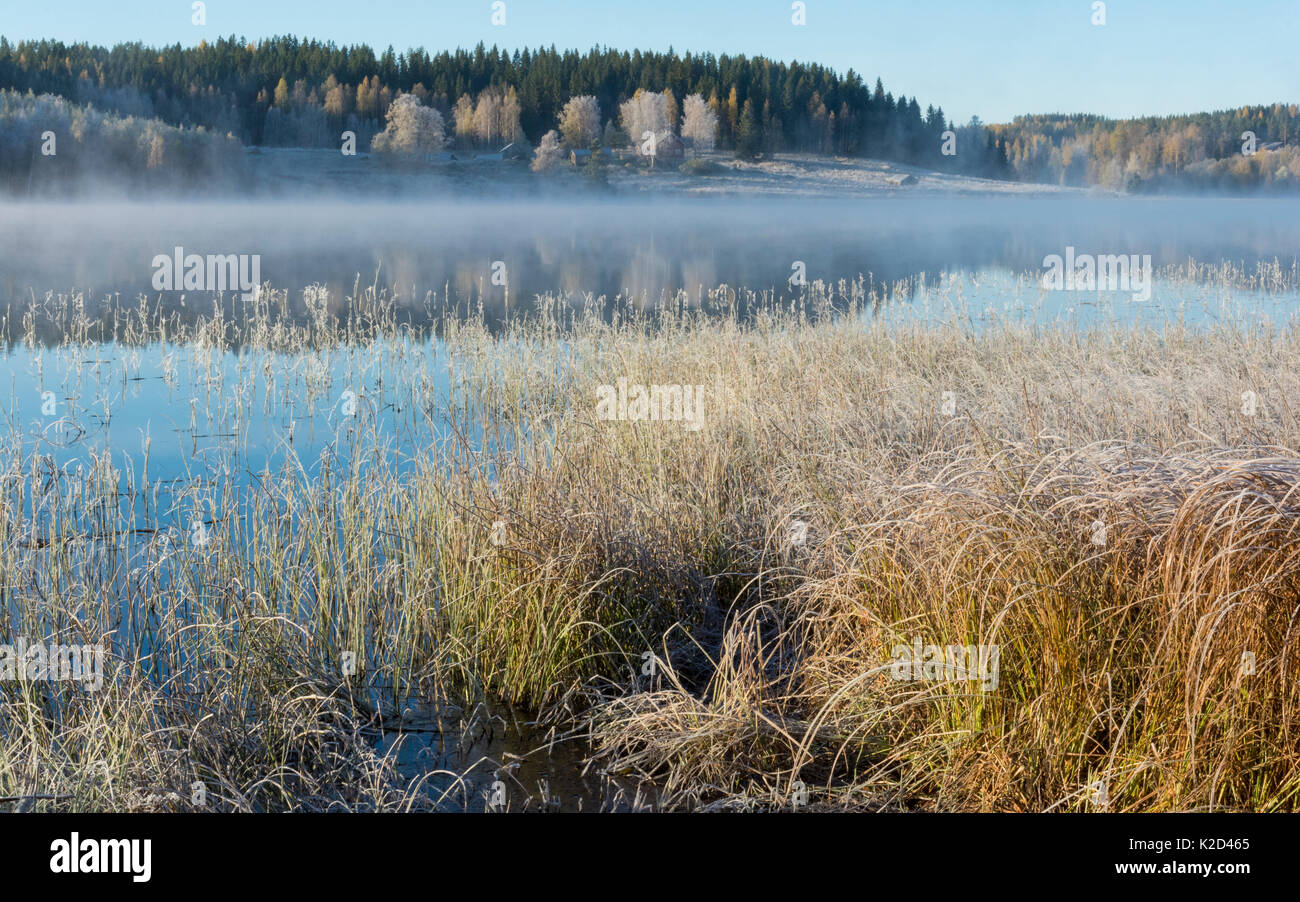 Misty lago in una fredda mattina autunnale, Jyvaskyla, Finlandia centrale, ottobre 2015. Foto Stock