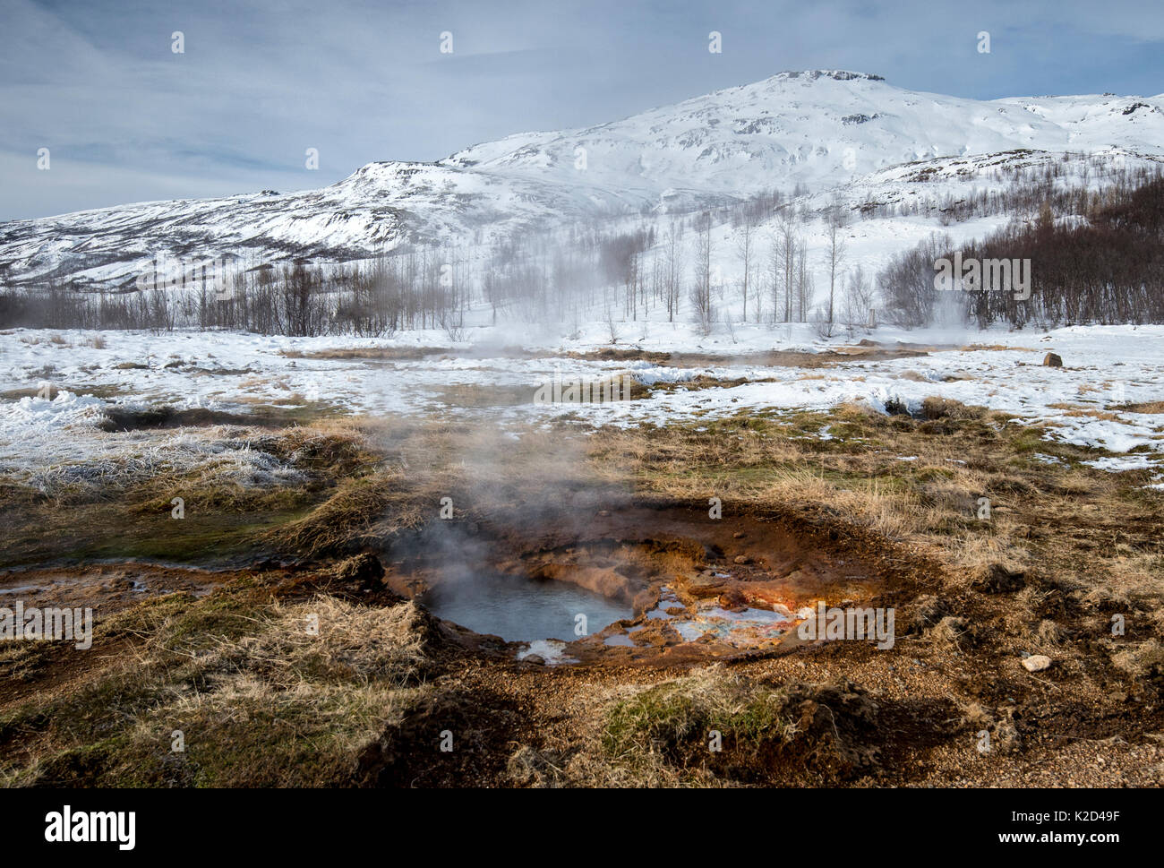 Piccolo sfiato geotermica, Geysir primavera calda area, a sud-ovest dell'Islanda, marzo 2015. Foto Stock