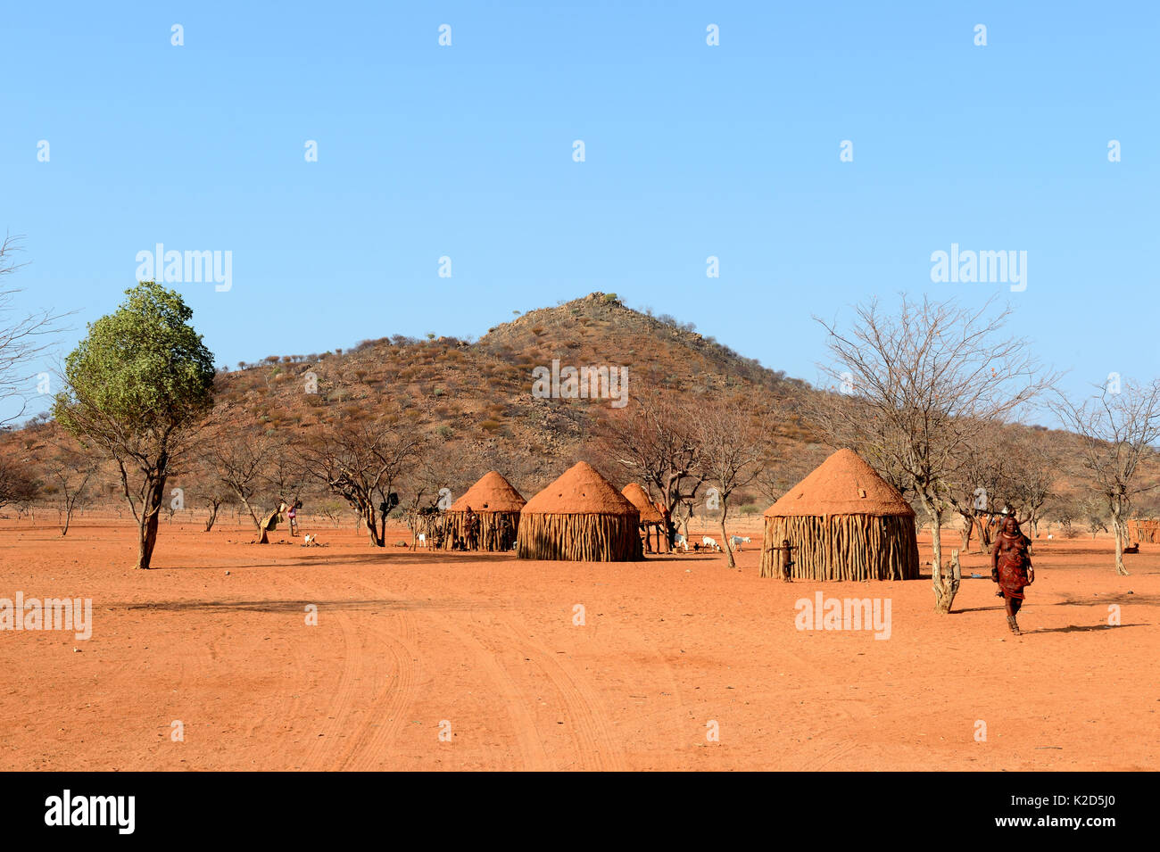 Tradizionale villaggio Himba nei pressi di Epupa. Regione di Kunene. Kaokoland, Namibia. Ottobre 2015 Foto Stock