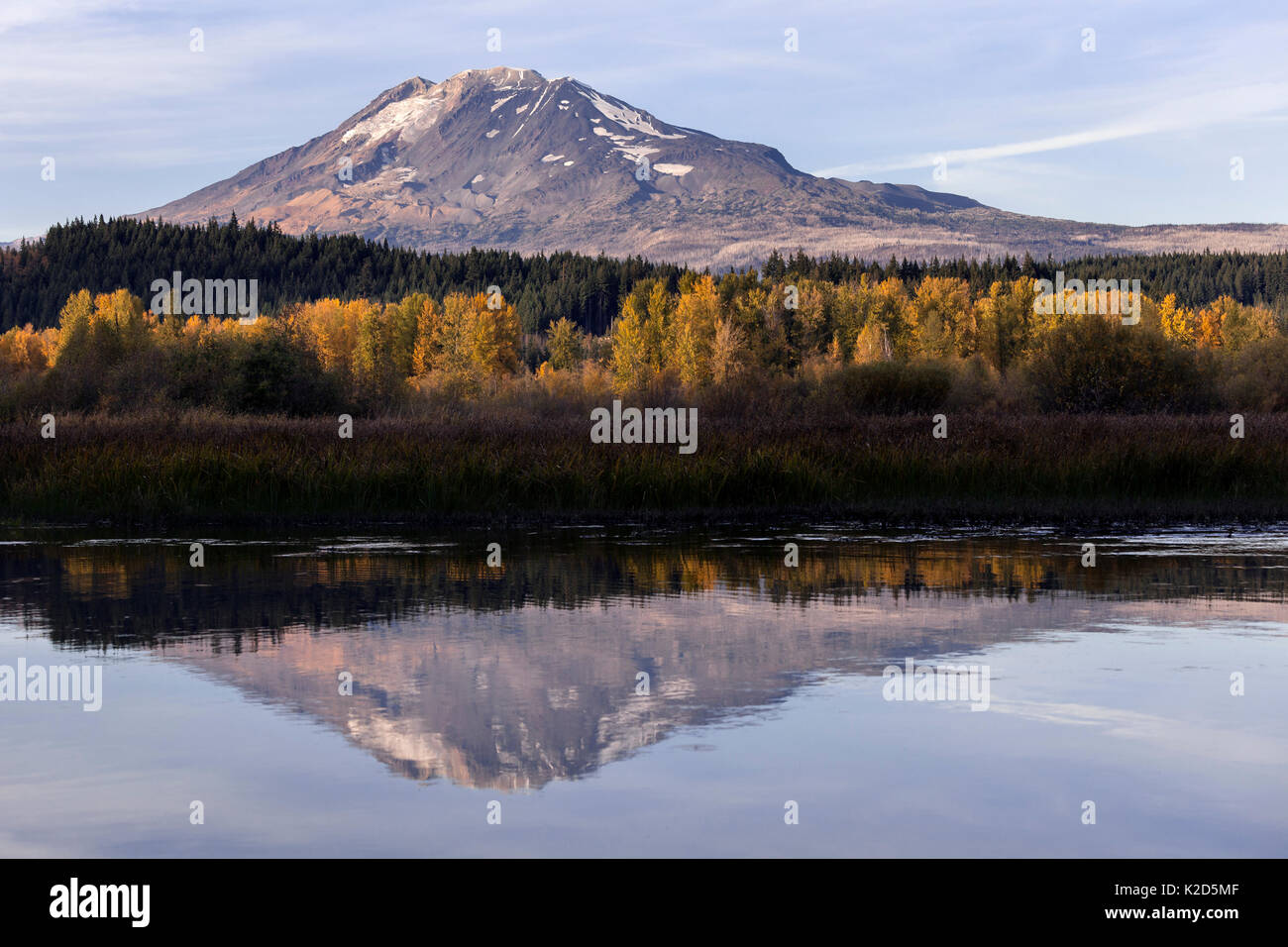 Il Monte Adams dalla trota lago Creek, trota lago, Washington, Stati Uniti d'America. Ottobre 2015. Foto Stock