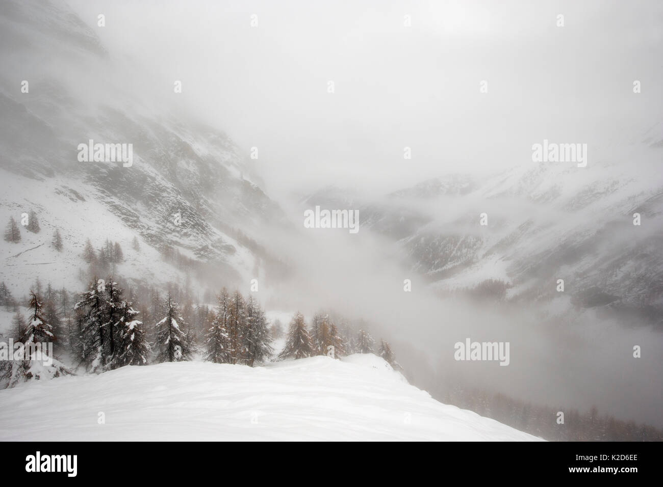 Paesaggio invernale con ripidi fianchi delle montagne coperte di neve in una nebbiosa giornata. Il Parco Nazionale del Gran Paradiso, l'Italia, novembre 2014. Foto Stock