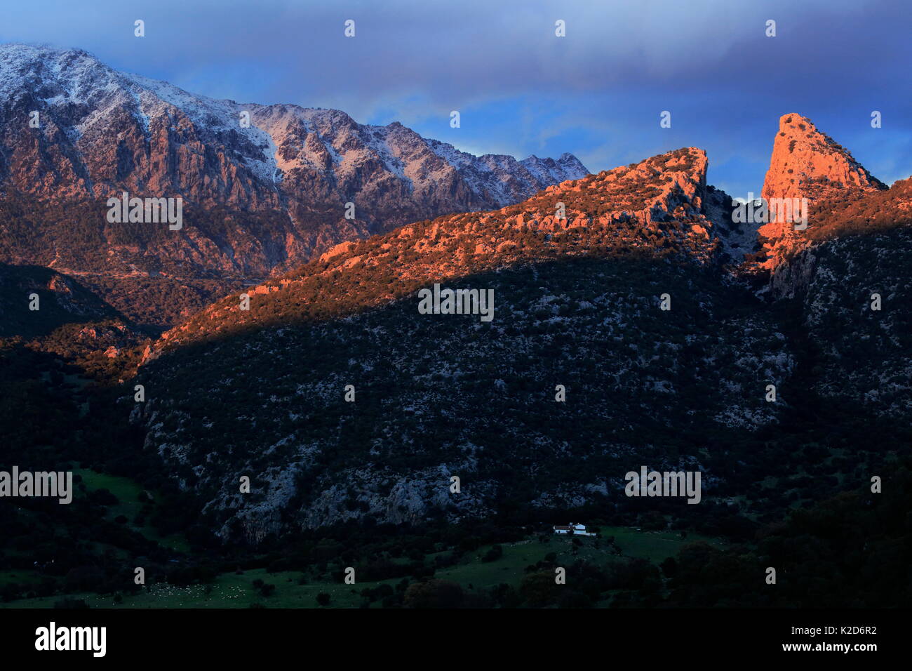 Paesaggio di montagna in Sierra de Grazalema parco naturale, Benaocaz, Spagna meridionale, Gennaio 2015. Foto Stock