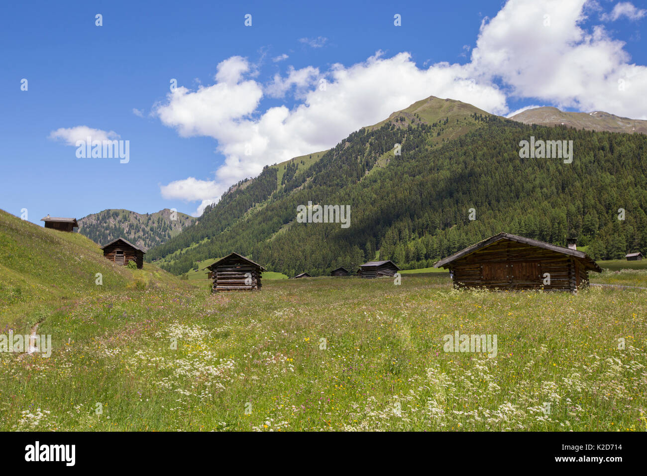 Fienili in prato alpino. Nordtirol, Alpi austriache, in Austria, in giugno. Foto Stock